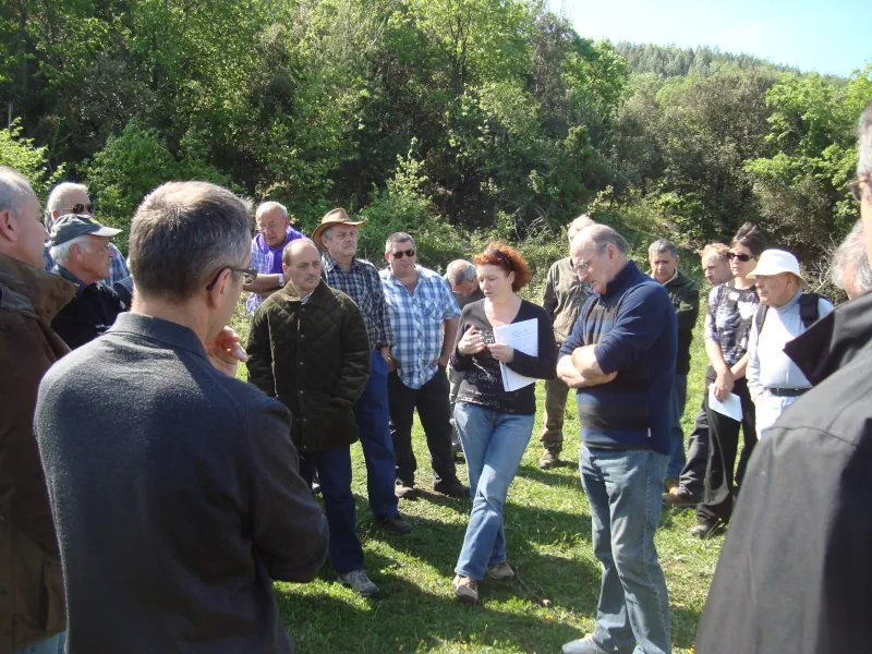 Formation et conseil