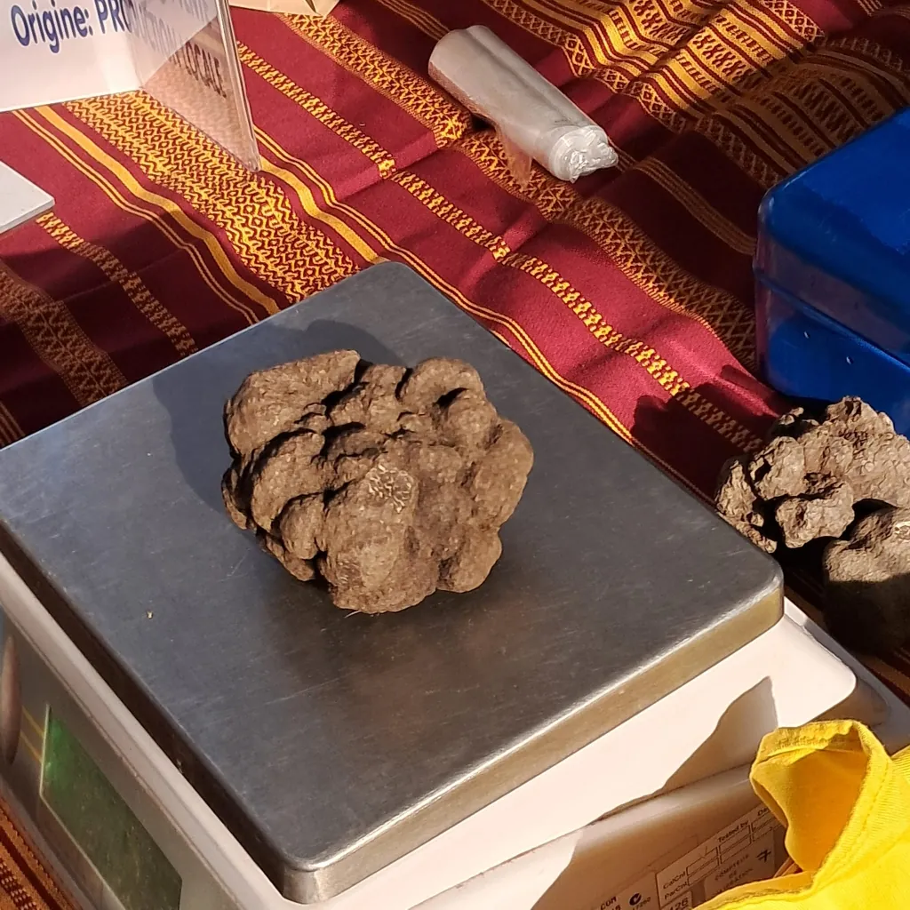 Pesée de truffes lors d’un contrôle de marché