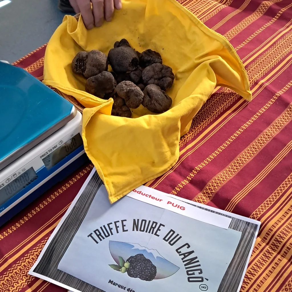 Présentation de truffes noires lors d’un marché