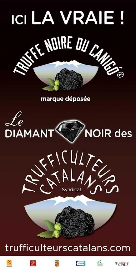 Truffe Noire du Canigó marque déposée