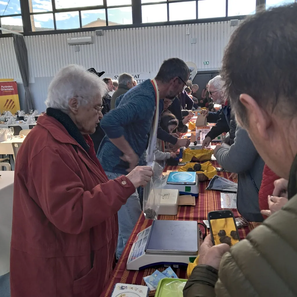 Marché de truffes organisé par les Trufficulteurs Catalans